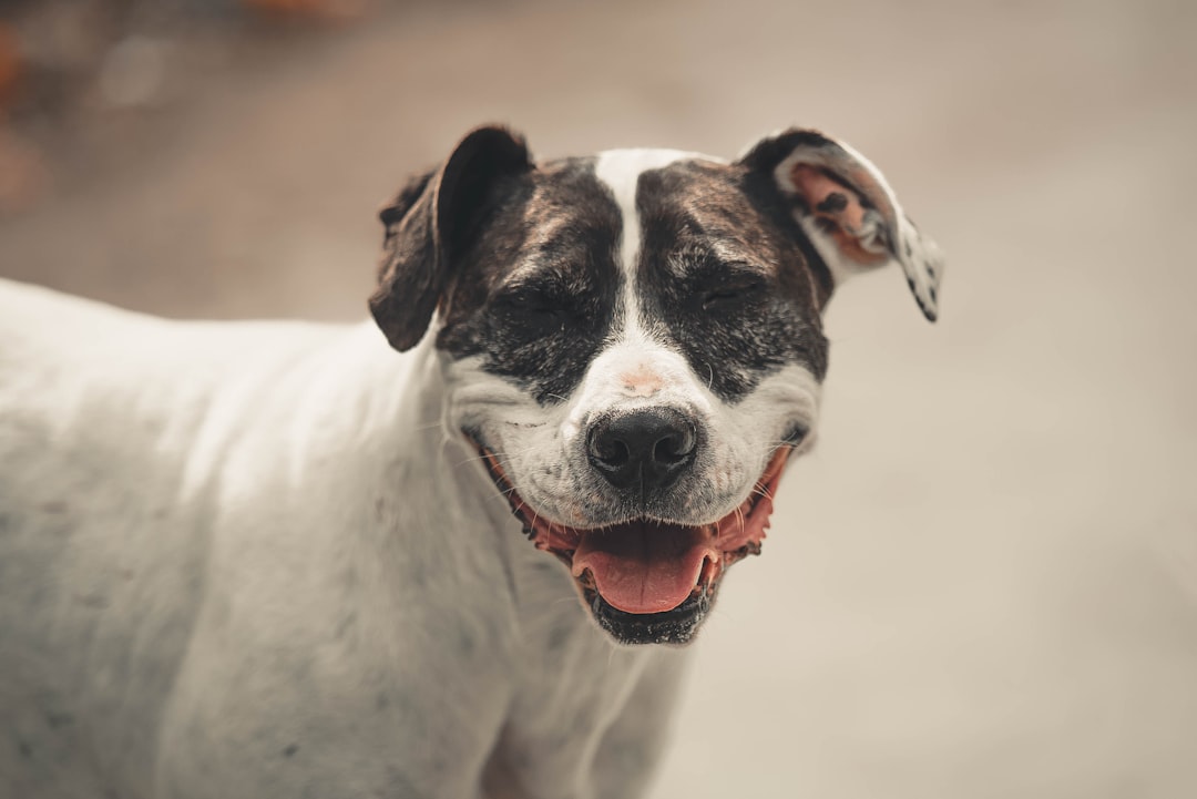 Hit by a Car: When the Leg Cannot Be Saved