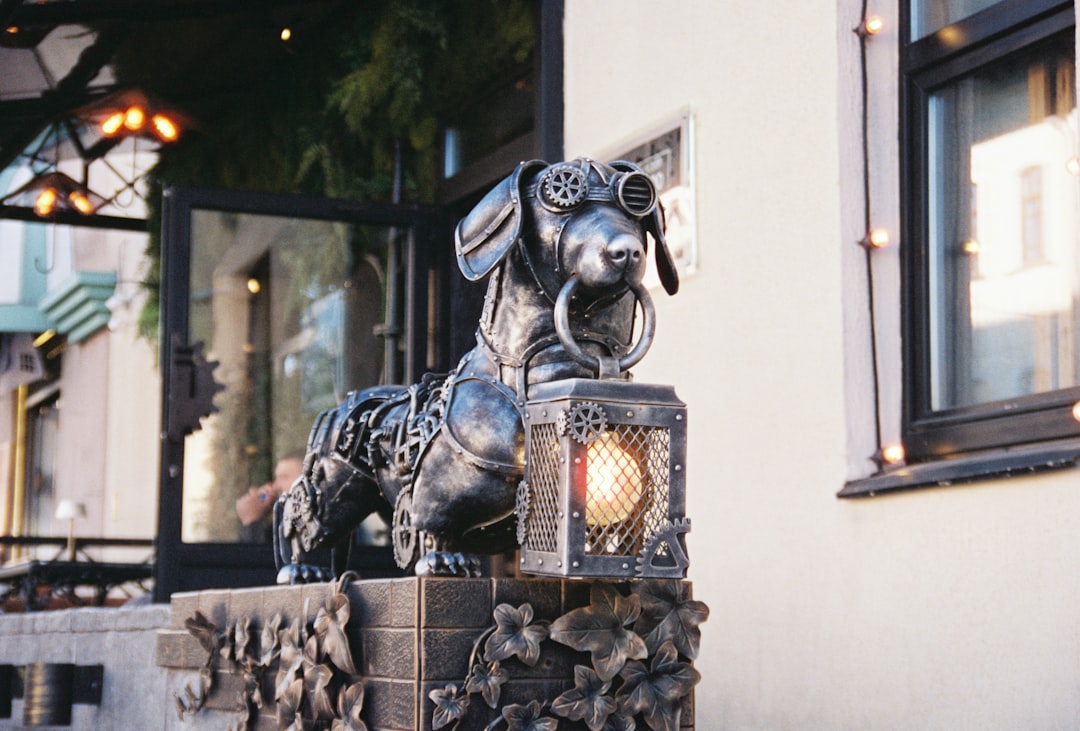 Pet Insurance After an IVDD Diagnosis: What Coverage Is Still Possible