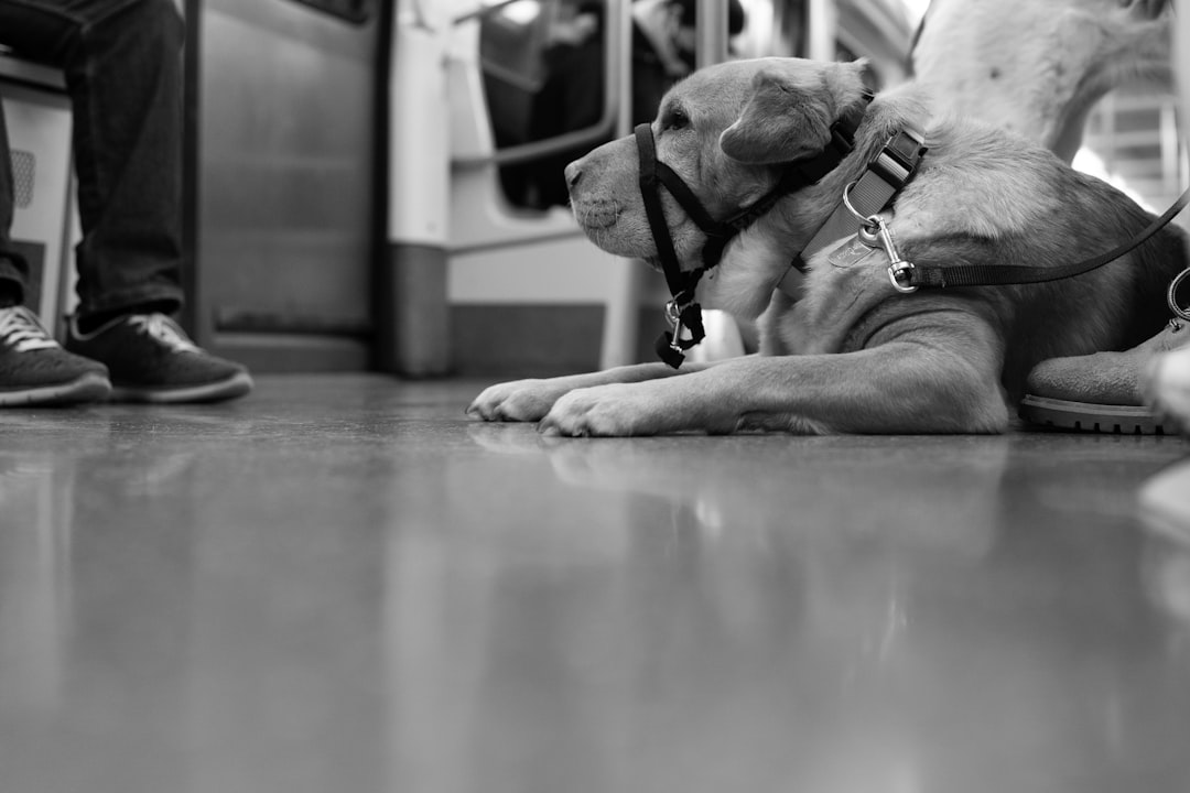 The First 72 Hours of a Vestibular Episode