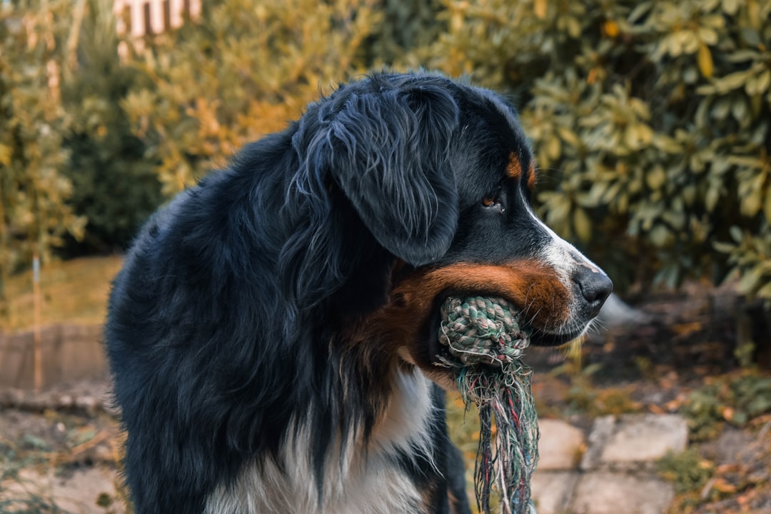 When You Resent the Caregiving: An Honest Piece