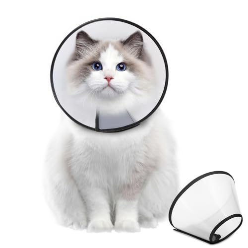 Dog Cone (E-Collar)