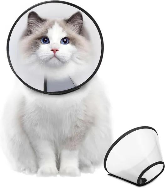 Dog Cone (E-Collar)