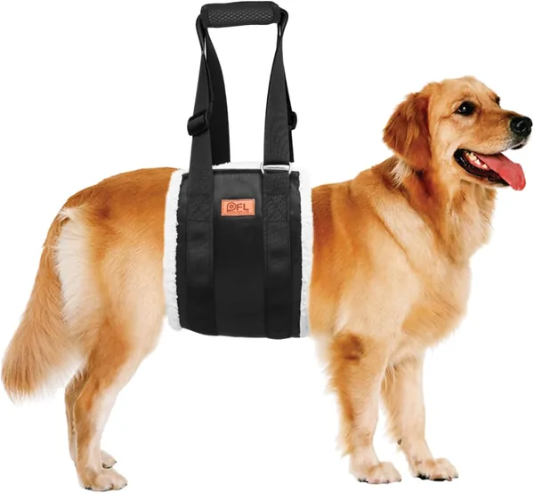 Help 'Em Up Harness
