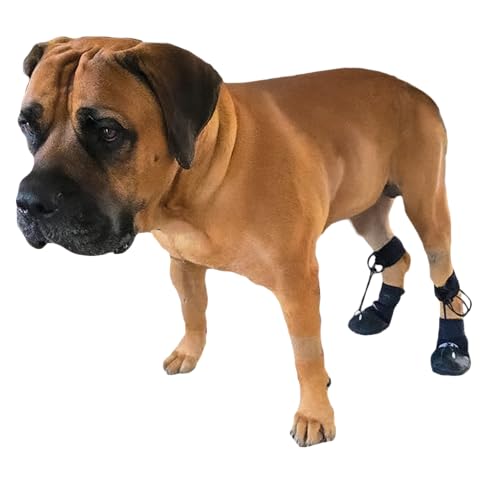 Walkabout Toe'sUP No-Knuckling Boot