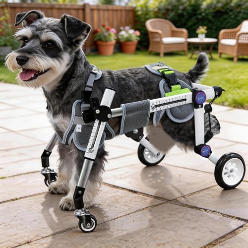 LetPetRun 4-Wheel Adjustable Dog Wheelchair