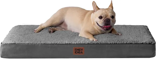 Memory Foam Dog Bed
